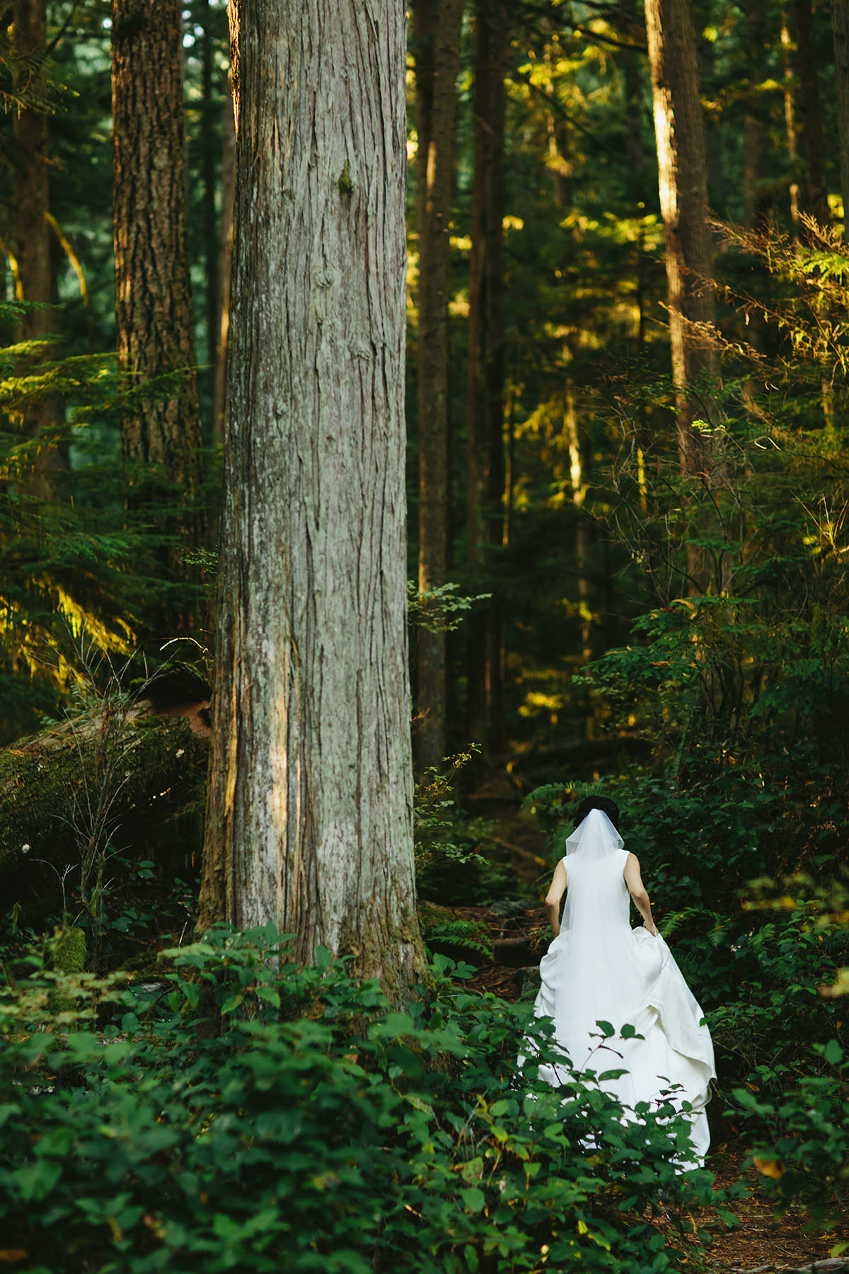 bride in a rainforest near Vancouver Canada www.lucida-photography.com