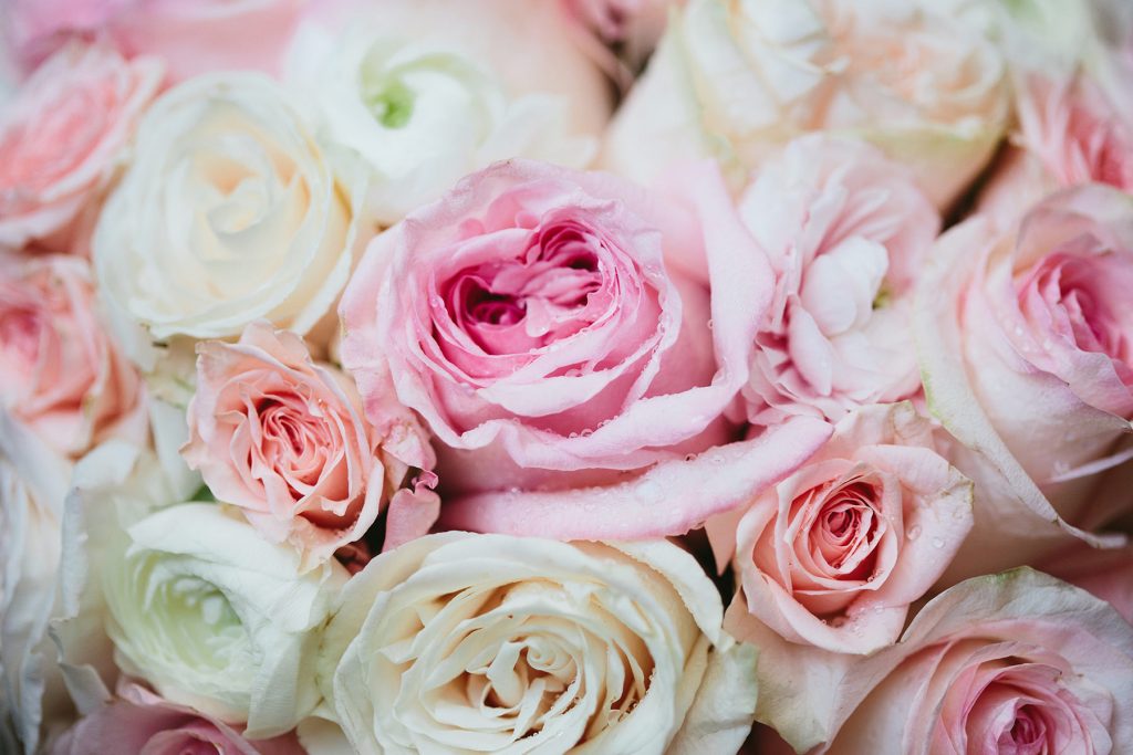 pink blush and ivory roses with dew by granville island florist www.lucida-photography.com