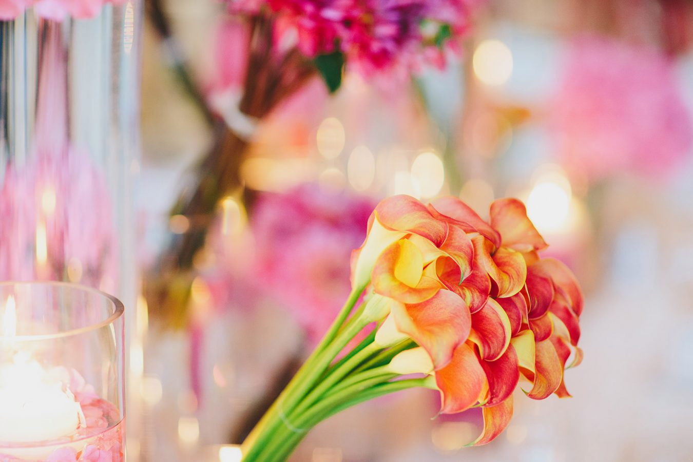 orange and pink calla lilies www.lucida-photography.com